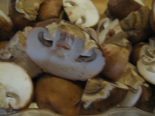 Mushrooms Mushrooms