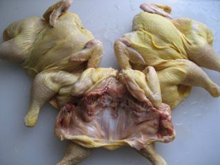 Butterflied hens Butterflied hens