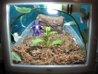Intel Inside iTerrarium