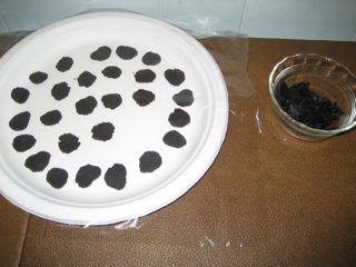 Shaved and julienned truffles Shaved and julienned truffles